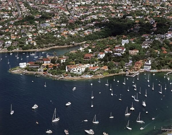 Vaucluse Bay and Parsley Bay Sydney Harbour, New South Wales, Australia JPF45369