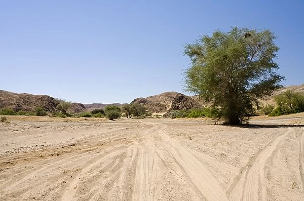 Vehicle tracks in a dry river bed Damaraland, Namibia, Africa