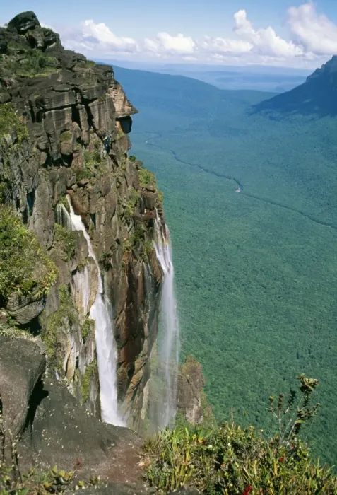 Framed Print : Venezuela AW 6542 Summit look out point, Angel Falls. © Adrian Warren / ARDEA LONDON Framed Print : Venezuela AW 6542 Summit look out point, Angel Falls. © Adrian Warren / ARDEA LONDON