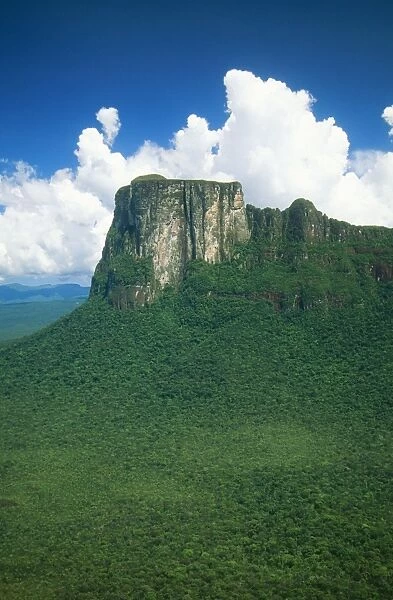 Venezuela FG 12116 Cerro Autana (1200 m alt). A Tepui towering above Rainforest Amazonas State. © Francois Gohier  /  ARDEA LONDON