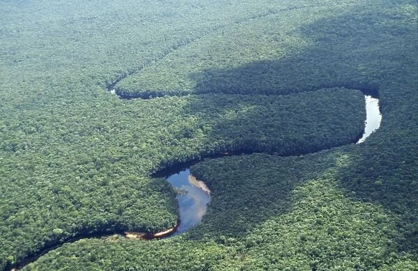 Venezuela Pluvial Forest, Canaima National Park