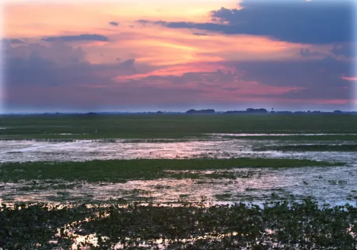 Framed Print : Venezuela - sunset over the Llanos Framed Print : Venezuela - sunset over the Llanos