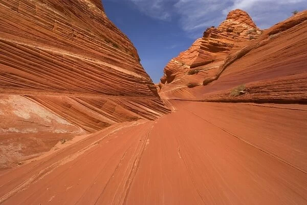 Vermillion Cliffs - carved rock made of jurrasic-age Navajo Sandstone that is approximately 190 millions old - Coyote Buttes North - Vermillion Cliffs - Grand Staircase Escalante National Monument - Utah - USA
