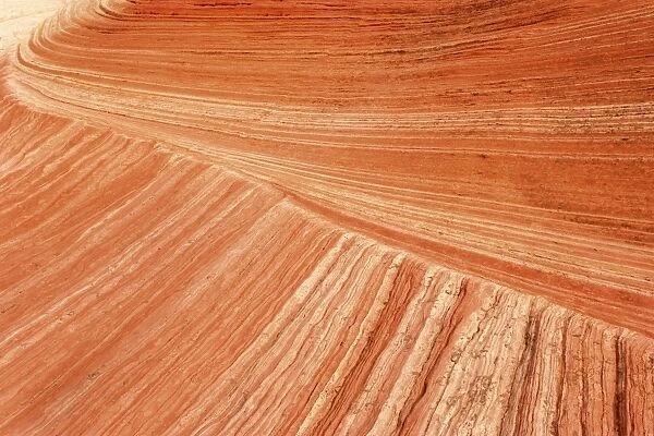 Vermillion Cliffs - White Pocket - carved rock made of jurrasic-age Navajo Sandstone that is approximately 190 millions old - Coyote Buttes North - Vermillion Cliffs - Grand Staircase Escalante National Monument - Utah - USA