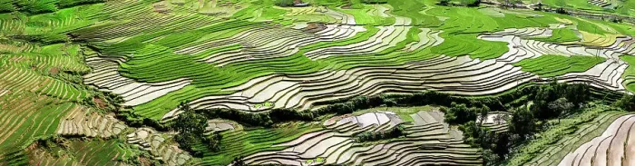 Framed Print : Vietnam. Date: 25-06-2019 Framed Print : Vietnam. Date: 25-06-2019