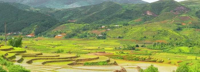 Framed Print : Vietnam. Rice paddies in the highlands of Sapa. Date: 25-06-2019 Framed Print : Vietnam. Rice paddies in the highlands of Sapa. Date: 25-06-2019