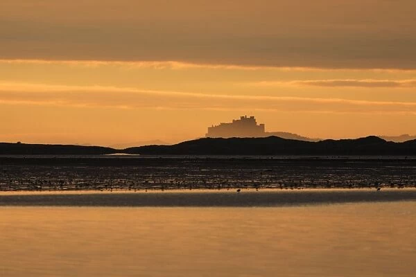 View of Bamburgh Castle - from Holy Island causeway at dawn, Lindisfarne National Nature Reserve, Northumberland, England