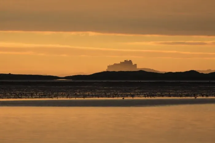 Framed Print : View of Bamburgh Castle - from Holy Island causeway at dawn, Lindisfarne National Nature Reserve, Northumberland, England