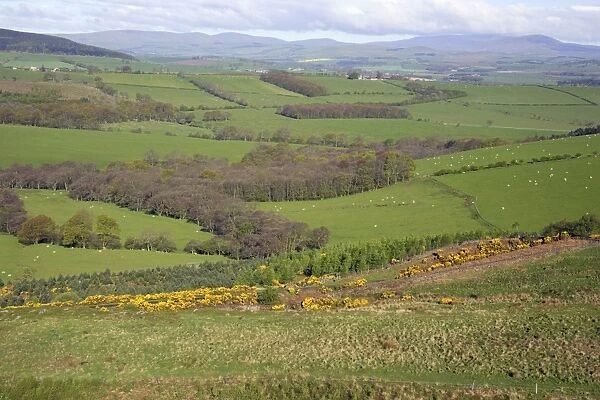 View from Corby Crag of Cheviot Hills, Rothbury, Northumberland NP, England