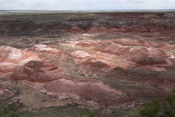 View over Painted Desert, the dark red areas are iron stained siltstone, other red areas are stained by iron oxide, which is also called hematite. Arizona, USA