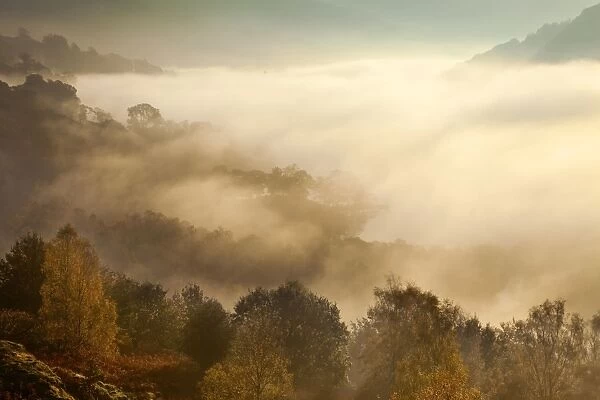 View of Rydal Water covered in mist from White Moss Common - October - Lake District - England
