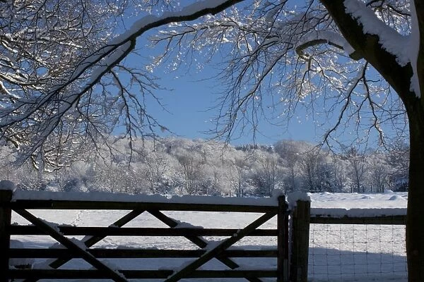 View of snowy hillside over 5 bar gate framed by branches and with blue sky Cotswolds UK
