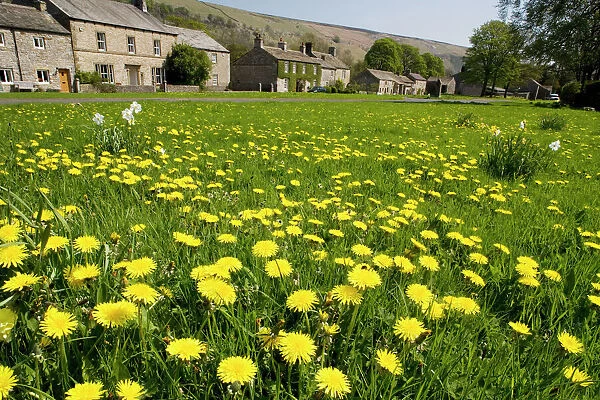 Village green at Arncliffe, Yorkshire Dales. Classic flowery village green. North Yorkshire