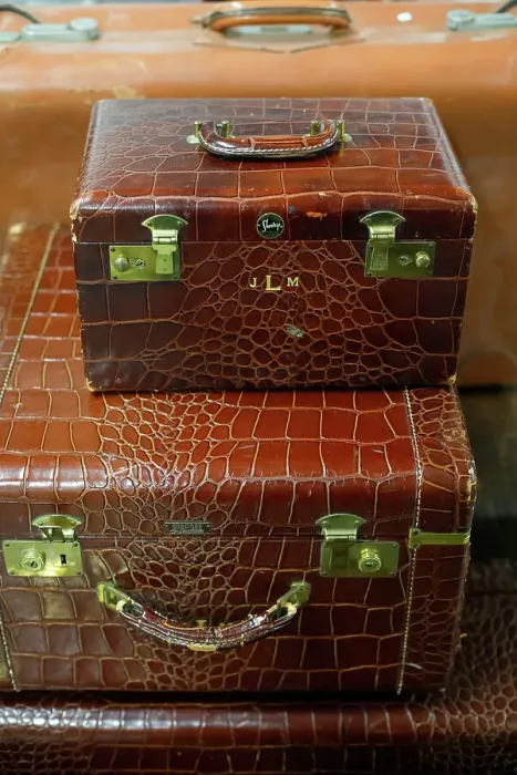 Framed Print : Vintage alligator skin luggage. Date: 29-12-2017