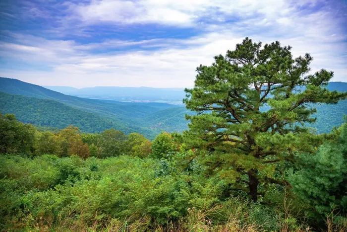 Framed Print : Vista, Shenandoah, Blue Ridge Parkway, Smoky Mountains, USA. Date: 02-10-2018