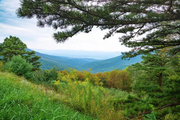 Framed Print : Vista, Shenandoah, Blue Ridge Parkway, Smoky Mountains, USA. Date: 02-10-2018 Framed Print : Vista, Shenandoah, Blue Ridge Parkway, Smoky Mountains, USA. Date: 02-10-2018