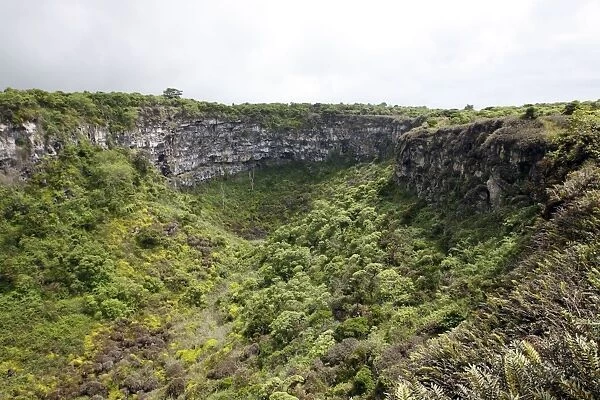 Volcanic Crater - Los Gemelos (The Twins) - on the island of Santa Cruz - Galapagos Islands