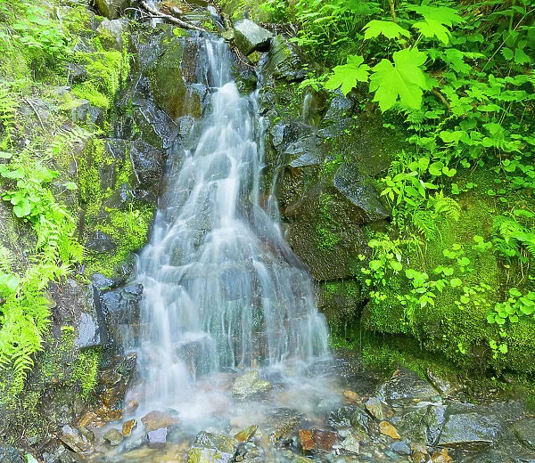 Washington State, Central Cascades, Waterfall, on trail to Annette Lake Date: 15-07-2020