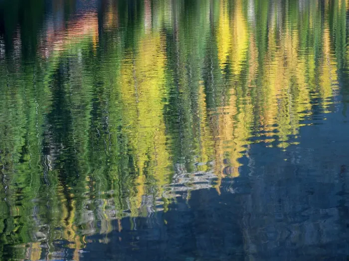 Framed Print : Washington State, North Cascades, Blue Lake, Larch tree reflections Date: 04-10-2020 Framed Print : Washington State, North Cascades, Blue Lake, Larch tree reflections Date: 04-10-2020