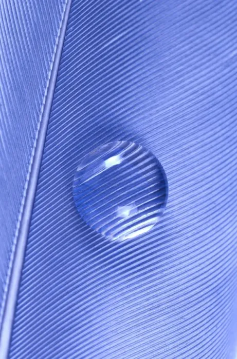 Framed Print : Water Drop on Blue Feather Framed Print : Water Drop on Blue Feather