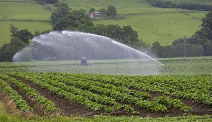 Framed Print : Water being sprayed onto potato crops by high pressure irrigation, Scotland