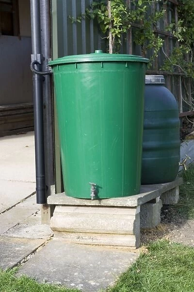 Water Tanks - two linked green plastic water butts collecting rainwater from shed roof Cheltenham UK