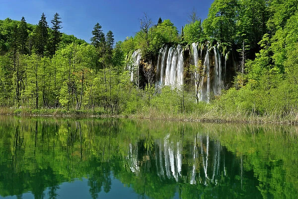 Waterfall with reflection in the upper lakes area Plitvice Lakes National Park, Croatia