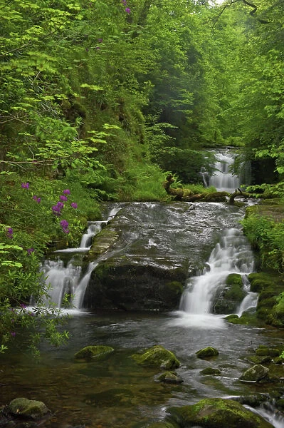 Waterfalls at Watersmeet East Lyn River, Exmoor National Park, Devon UK LA000408