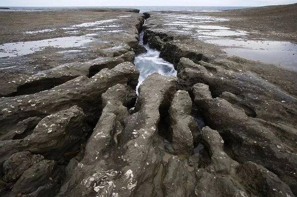Wave erosion cutting into the continental platform (this platform is called a 'restinga' in Argentina) Argentina, Province Chubut, Patagonia. Valdes Peninsula