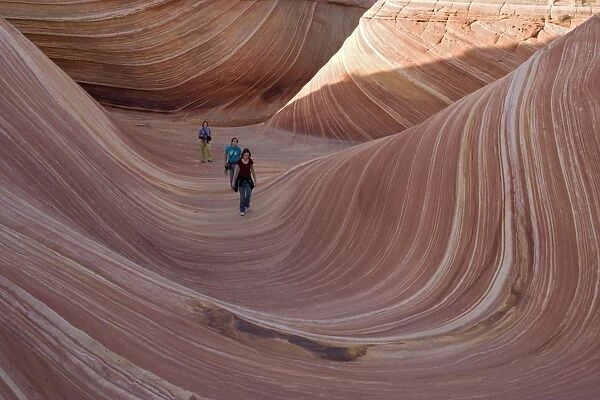 The Wave - an extraordinary area of sinuous eroded banded sandstone rocks in the Paria-Vermillion Cliffs National Monument, Arizona (on the border with Utah). With tourists