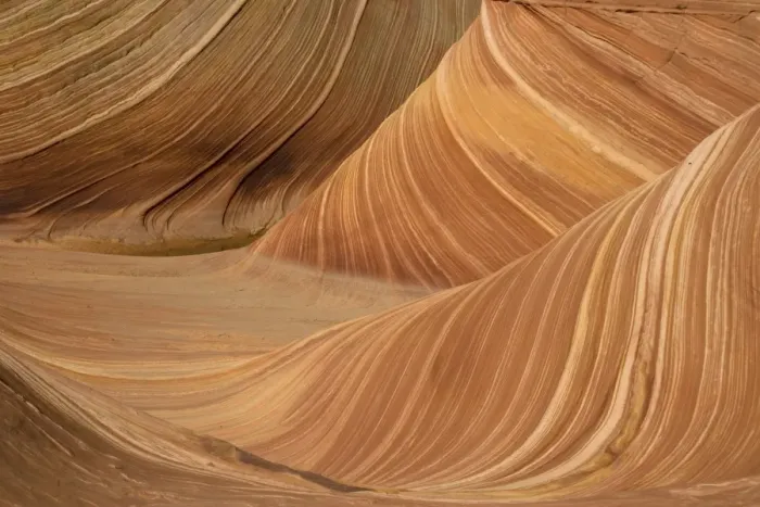 Framed Print : The Wave - an extraordinary area of sinuous eroded banded sandstone rocks in the Paria-Vermillion Cliffs National Monument, Arizona (on the border with Utah) Framed Print : The Wave - an extraordinary area of sinuous eroded banded sandstone rocks in the Paria-Vermillion Cliffs National Monument, Arizona (on the border with Utah)