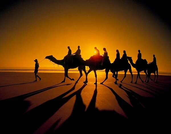 Western Australia - broome camels on Cable beach at sunset with tourists orange shadow CAR00021