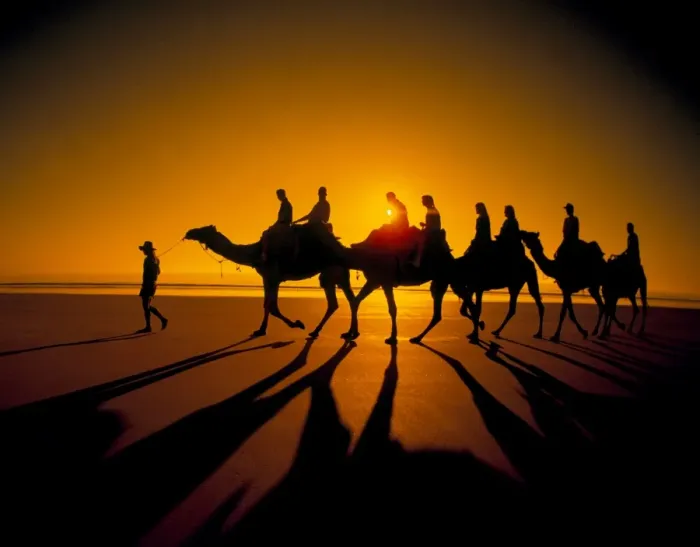 Framed Print : Western Australia - broome camels on Cable beach at sunset with tourists orange shadow CAR00021 Framed Print : Western Australia - broome camels on Cable beach at sunset with tourists orange shadow CAR00021