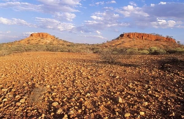 Western Australia Gibson Desert Mt. Gordon & Mt. Everard along Gunbarrel Highway