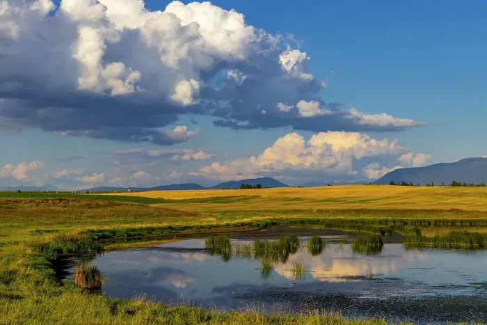 Framed Print : Wetlands pond in the Flathead Valley, Montana, USA Date: 13-09-2021