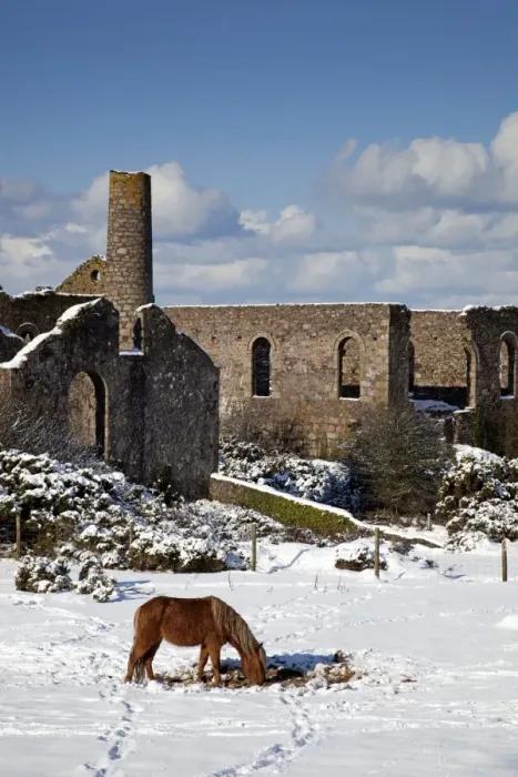 Framed Print : Wheal Francis - ruined former mine works - with horse in snow - Cornwall - UK Framed Print : Wheal Francis - ruined former mine works - with horse in snow - Cornwall - UK