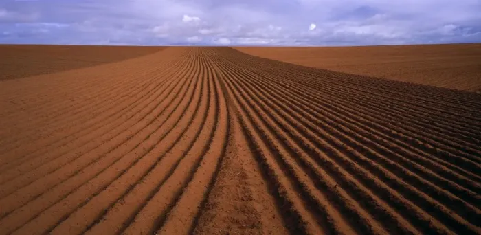 Framed Print : Wheat Field JLR 70 Malley region north west Victoria, Australia © Jean-Marc La-Roque / ardea. com Framed Print : Wheat Field JLR 70 Malley region north west Victoria, Australia © Jean-Marc La-Roque / ardea. com