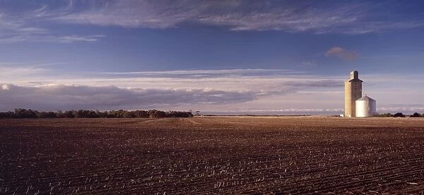 Wheat Field and Silo JLR 69 Malley region north west Victoria, Australia © Jean-Marc La-Roque  /  ardea. com