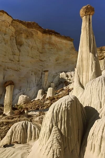 White Ghosts - the Wahweap Hoodoos are white pedestral rocks of silt-stone some of them topped by brown rocks - pedestrals are eroded by water creating an intricate pattern of vertical furrows