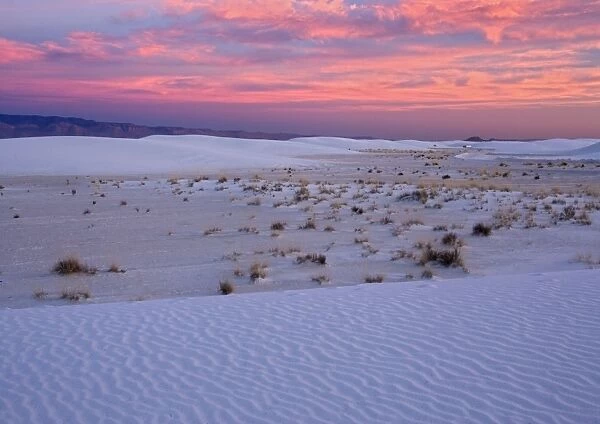 White Gypsum Dunes - with beatiful wind-sculpted White Sands National Monument, New Mexico, USA
