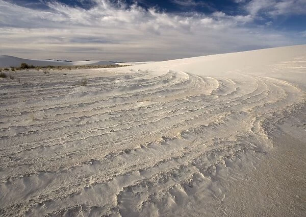 White Gypsum Dunes - sculpted by the wind White Sands National Monument, New Mexico, USA
