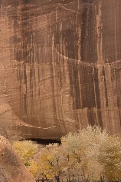The White House ruin, in Canyon de Chelly National Monument, on Navajo tribal ground. 13th century ancestral puebloan indian cliff dwellings