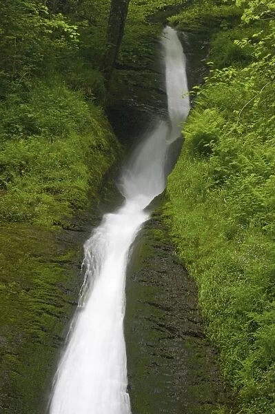 White Lady Falls Lydford Gorge Dartmoor National Park Devon, UK LA000221