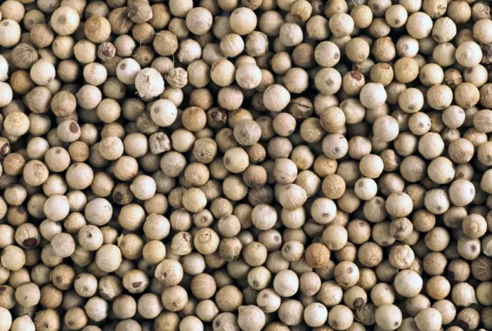 Framed Print : White Peppercorns Framed Print : White Peppercorns