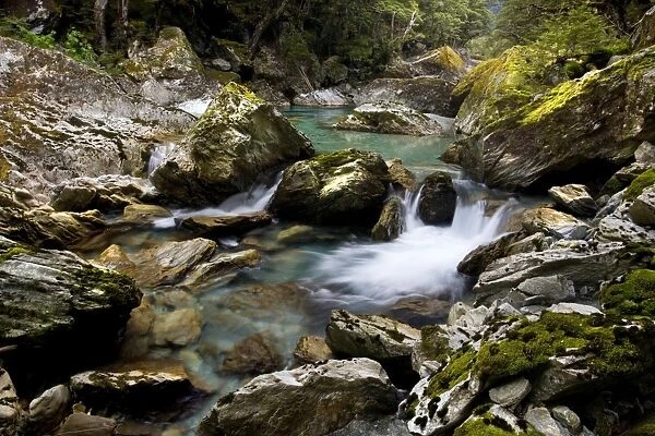 Wildwater river clear water running through a gorge in lush Southern Beech forest alongside the Routeburn Track Mount Aspiring National Park, Wanaka District, South Island, New Zealand