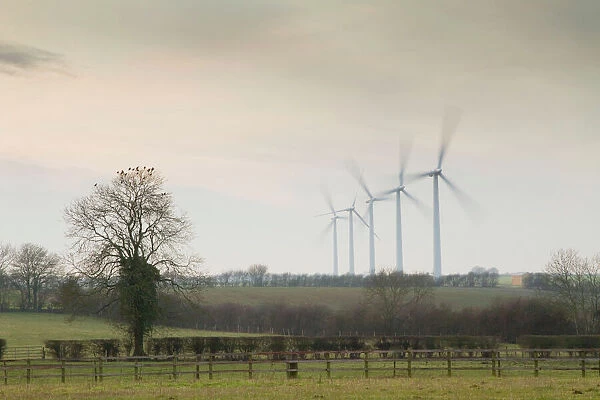 Wind Turbine - A row of wind turbines producing green energy. Wiltshire, England, UK