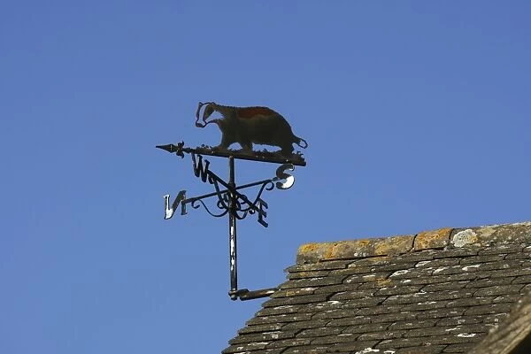 Wind  /  weather vane - wrought iron with badger figure against blue sky Cotswolds, UK