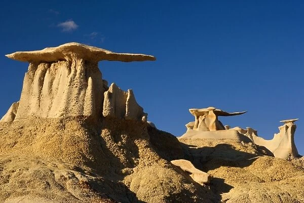 The Wings - eroded clay sculptures with rocks balanced on its tops that make it look like wings - Bisti Badlands Wilderness Area - New Mexico - USA