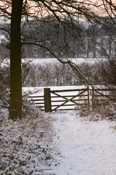 Framed Print : Winter Scene - gate in snow - Lincolnshire, UK