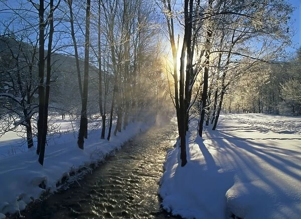 Winter scenery morning sun and steaming brook flanked by frost-covered trees Baden-Wuerttemberg, Germany